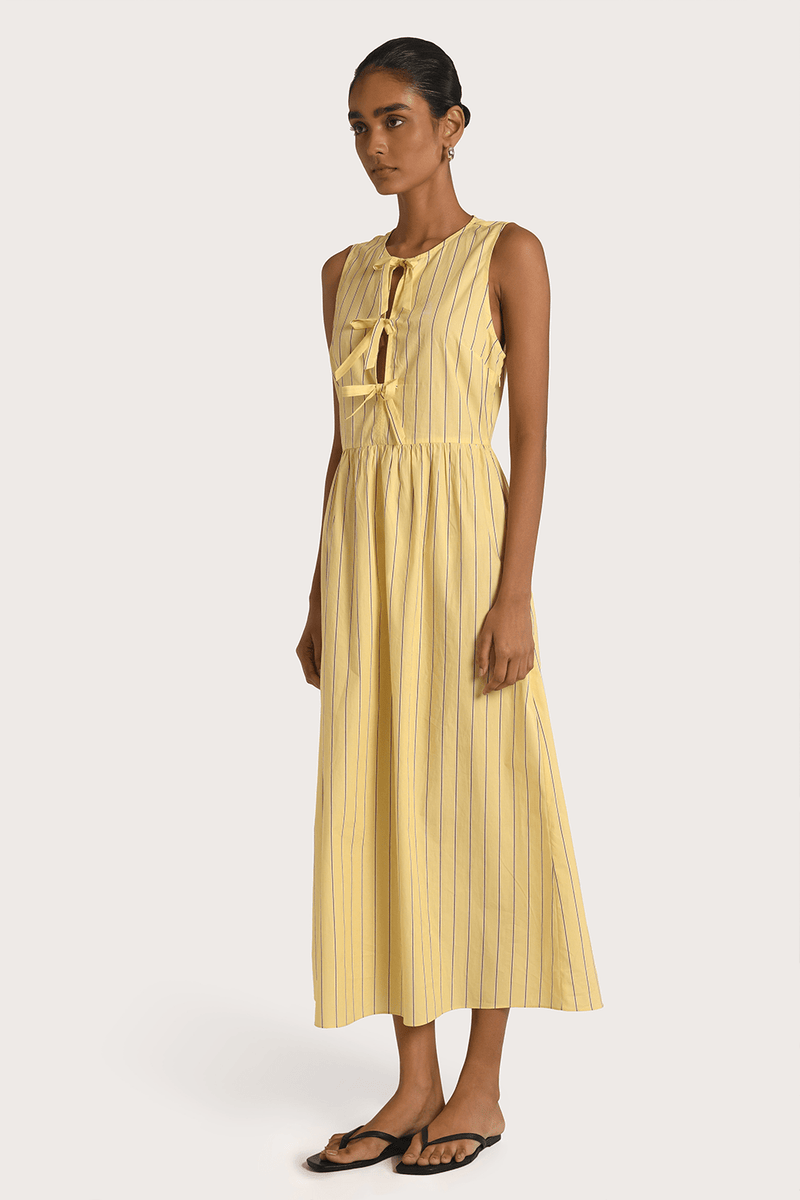 Carlita Midi Dress - Yellow - steele label